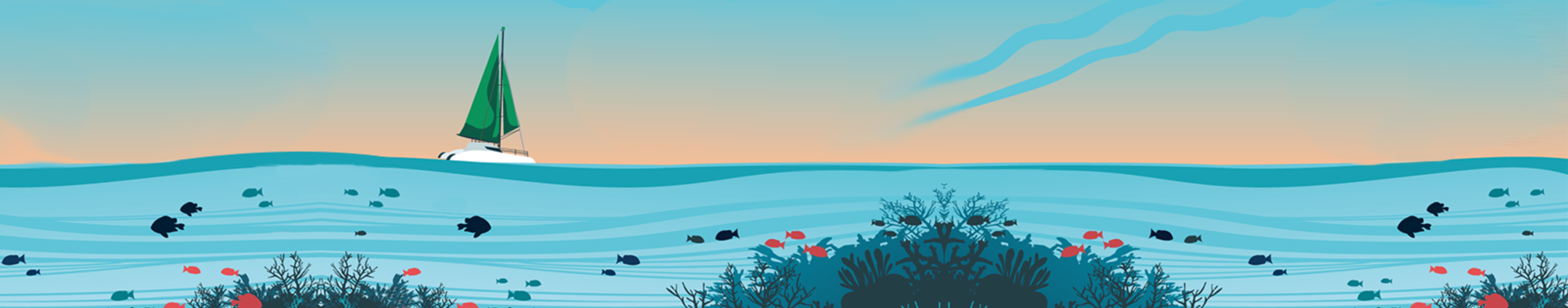 Homepage Banner